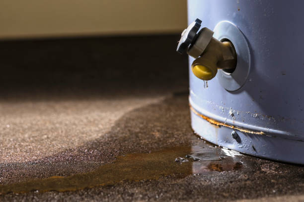 Best Mold removal after water damage  in Donora, PA