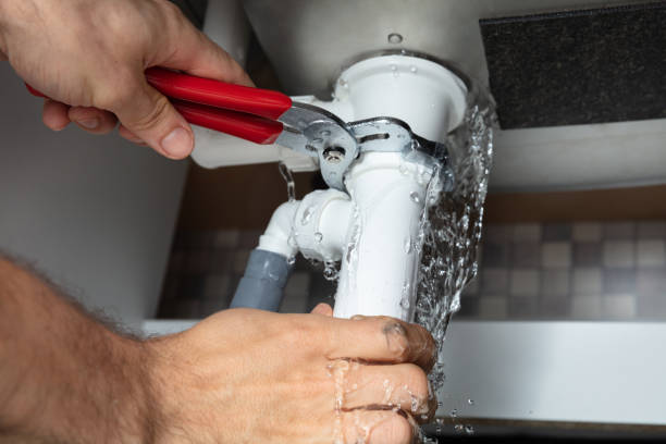 Best Local water damage restoration  in Donora, PA