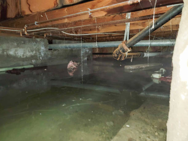 Best Ceiling water damage repair  in Donora, PA