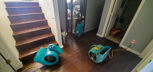 Best Flooded house restoration  in Donora, PA