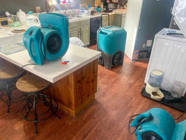 Best Water damage restoration company  in Donora, PA