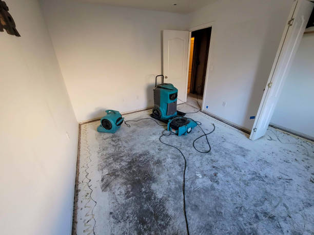 Best Water damage restoration specialists  in Donora, PA