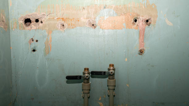 Best Emergency water damage restoration  in Donora, PA