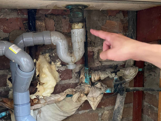 Best 24/7 water damage repair  in Donora, PA